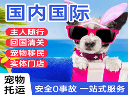 音布鲁克机场邮寄国际宠物托运 【国